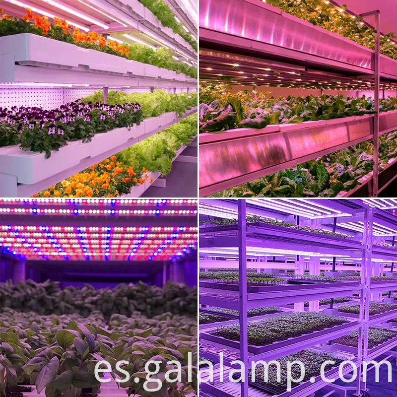 Luz de cultivo LED de espectro T8 completo para el crecimiento de las plantas interiores